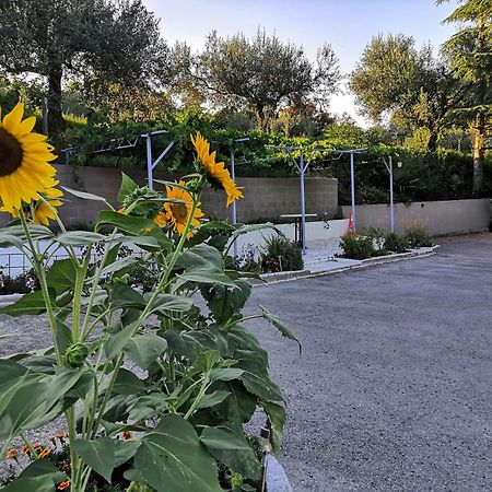 Rosemarin Διαμέρισμα Κόπερ Εξωτερικό φωτογραφία