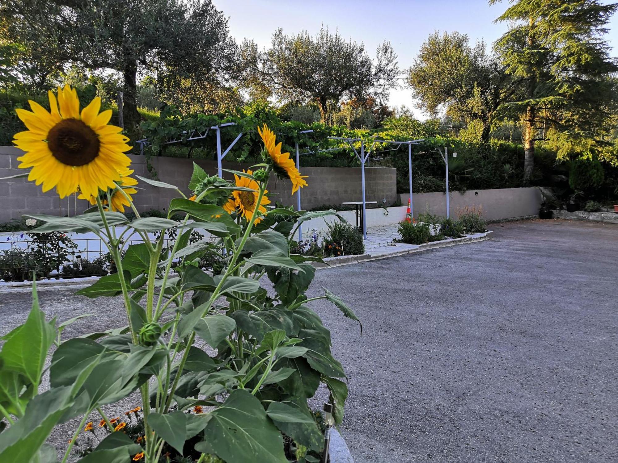 Rosemarin Διαμέρισμα Κόπερ Εξωτερικό φωτογραφία
